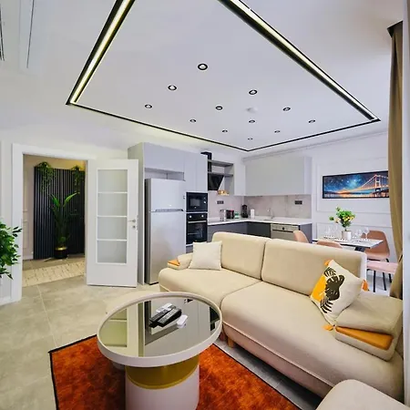 Taksim Square 1 1 Fully Equipped Air Conditioned Luxury アパート イスタンブール