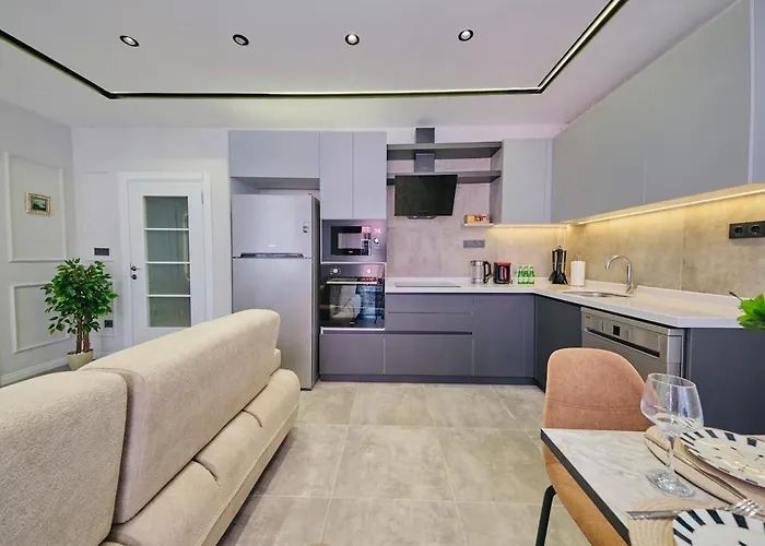 Taksim Square 1 1 Fully Equipped Air Conditioned Luxury イスタンブール