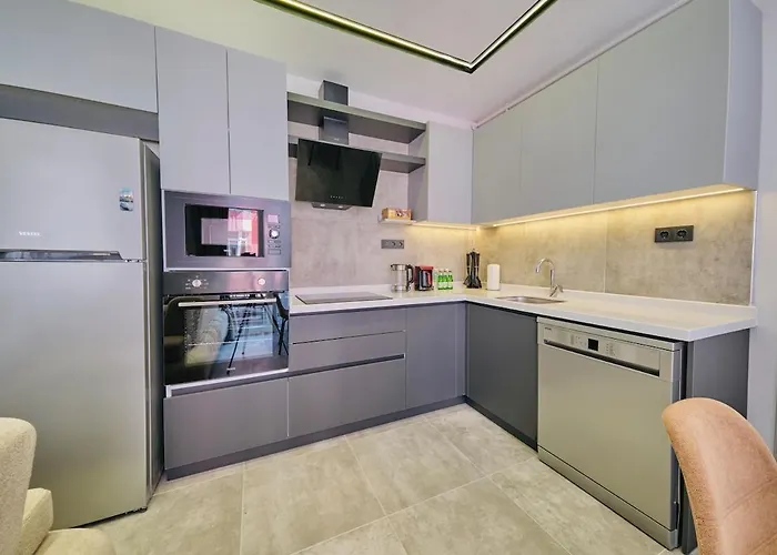 Διαμέρισμα Taksim Square 1 1 Fully Equipped Air Conditioned Luxury Κωνσταντινούπολη